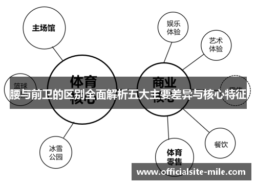腰与前卫的区别全面解析五大主要差异与核心特征