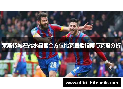 莱斯特城迎战水晶宫全方位比赛直播指南与赛前分析