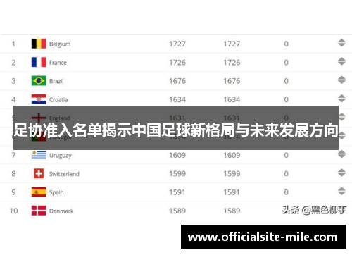足协准入名单揭示中国足球新格局与未来发展方向