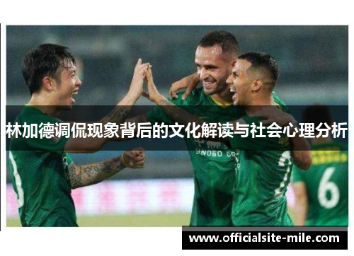 林加德调侃现象背后的文化解读与社会心理分析