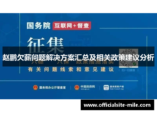 赵鹏欠薪问题解决方案汇总及相关政策建议分析